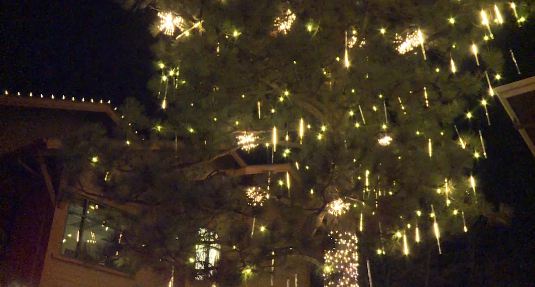 When do you start removing your holiday decorations?